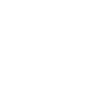 Roller coaster