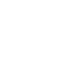 Roller coaster