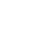 Horse Equestrian