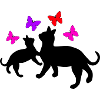 Cats and Butterflies