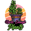 Never Enough Plants Gardening