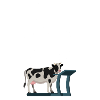 pt makes you mooving funnier