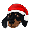 XmasDackel