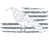 Crow Raven Black