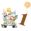 1st Anniversary Safari