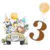 3rd Birthday Safari
