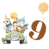 9th Anniversary Safari