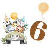6th Birthday Safari