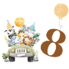 8th Birthday Safari