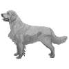 Golden Retriever Markierung