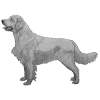 Golden Retriever sticker