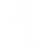 Bird on a branch