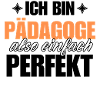 Perfekter Pädagoge