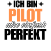 Perfekter Pilot