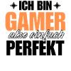 Perfekter Gamer