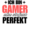 Perfekter Gamer