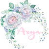 Für Arya