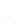 kiteboarder