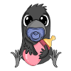 Bébé corbeau