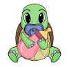 Bébé tortue
