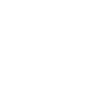 Software Developer