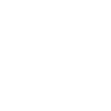 Web Designer