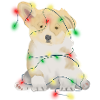 Christmas funny dog