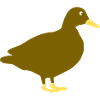 Duck Comic