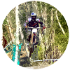 vtt mtb downhill