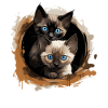 Siamese Cat Siamkatze