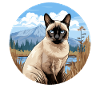 Siamese Cat Siamkatze