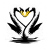 Heart-wrenching swans make heart