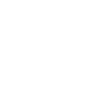 Bird Feather Hand Drawn