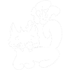 Cat white