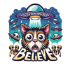 Funny Alien Alien Believe