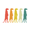 Erdmännchen Scharrtier Tier