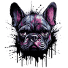 Punky French Bulldog
