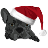 Bulldog with Santa hat