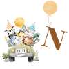 Letter N Safari