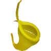 Nepenthes dubia