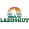 Landshut, my city!