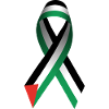 Peace Sign Palestine