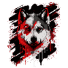 Husky Dog