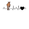 Kangaroo Heartbeat Australia