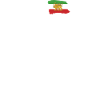 Iransk løve sol Flag, kvindelig knytnæve, støtte kvinder