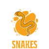Snake Owner Snake Lover