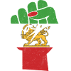 Iransk flagga kvinnlig knytnäve stöder kvinnor i Iran