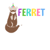 Female Ferret Lover
