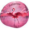 Flamingo Ballerina