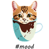 Kaffeekatze